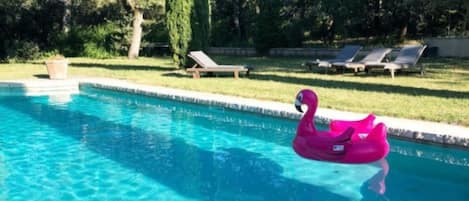 Seasonal outdoor pool, sun loungers