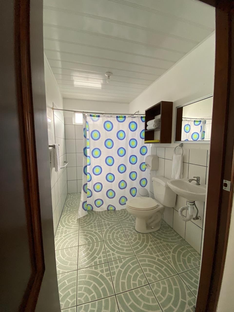 A bathroom with a shower curtain, toilet, sink, and a mirror above the sink.