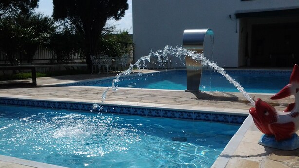 Una piscina con una fuente y una estatua decorativa de un pez.