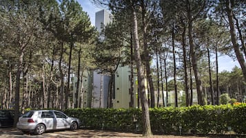 Free self-parking