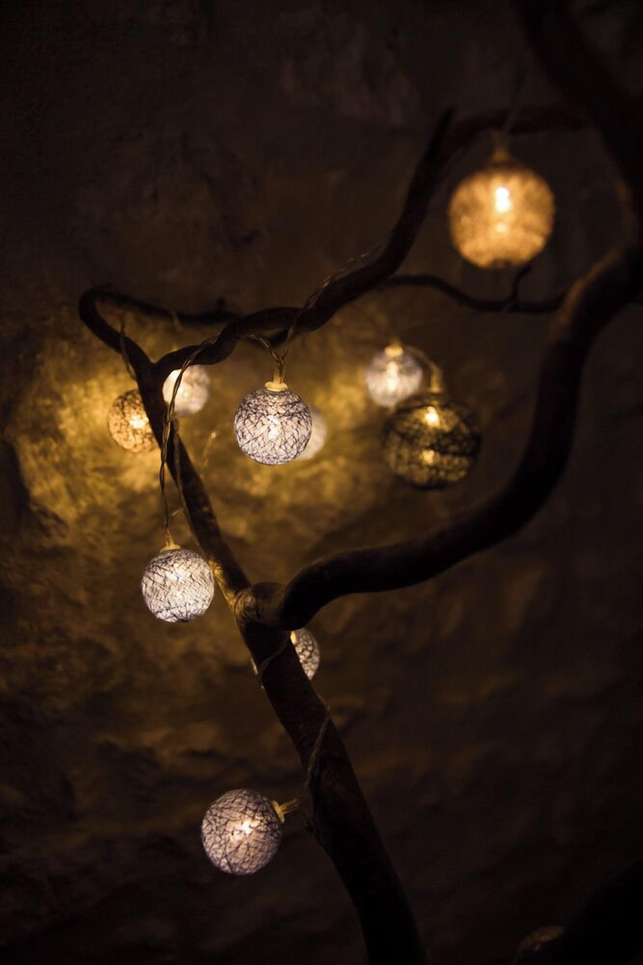 Une branche ornée de luminaires sphériques à texture particulière, le tout se détachant sur un fond sombre et texturé.