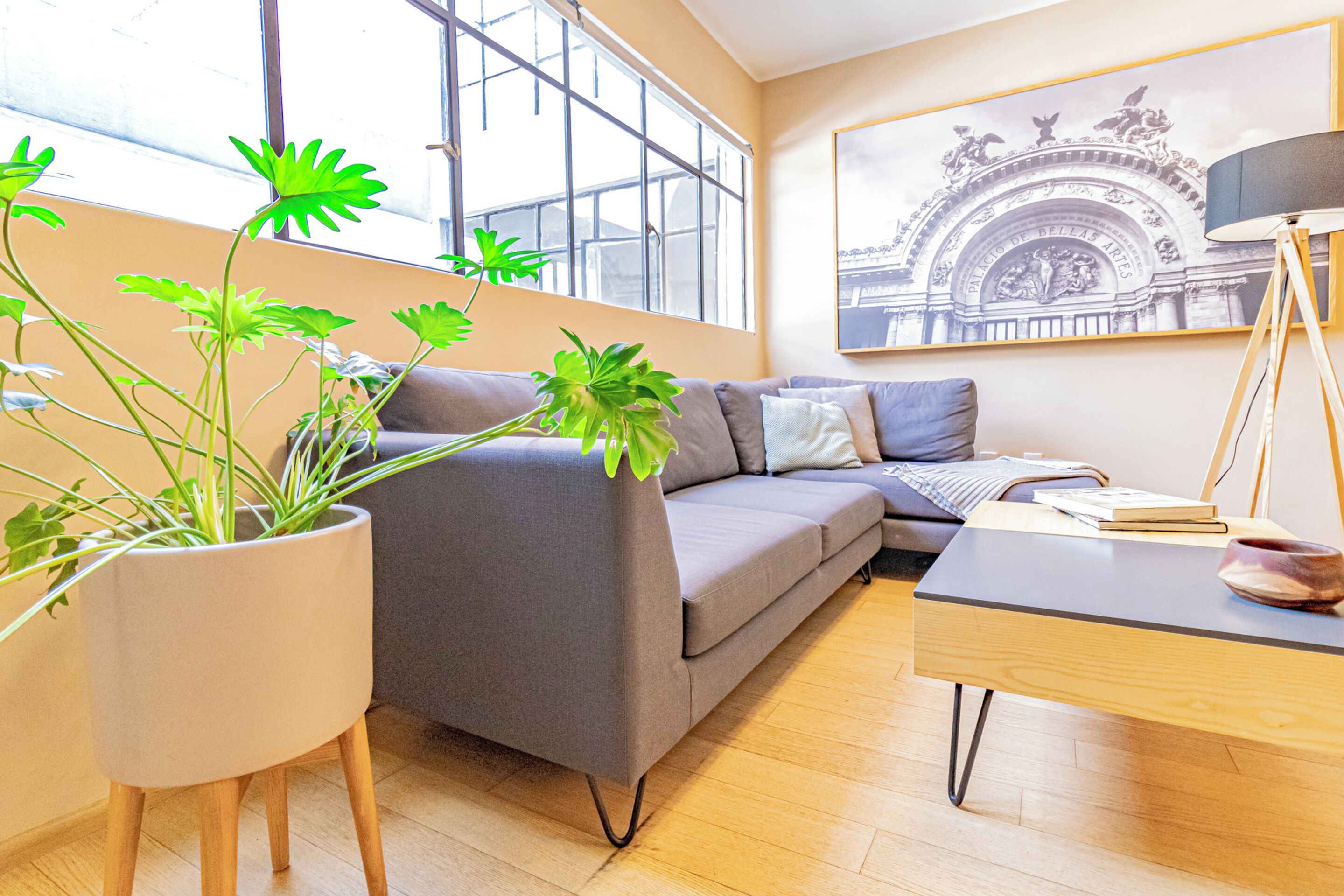 Una sala moderna con un sofá gris, una mesa de centro de madera y una planta en maceta.