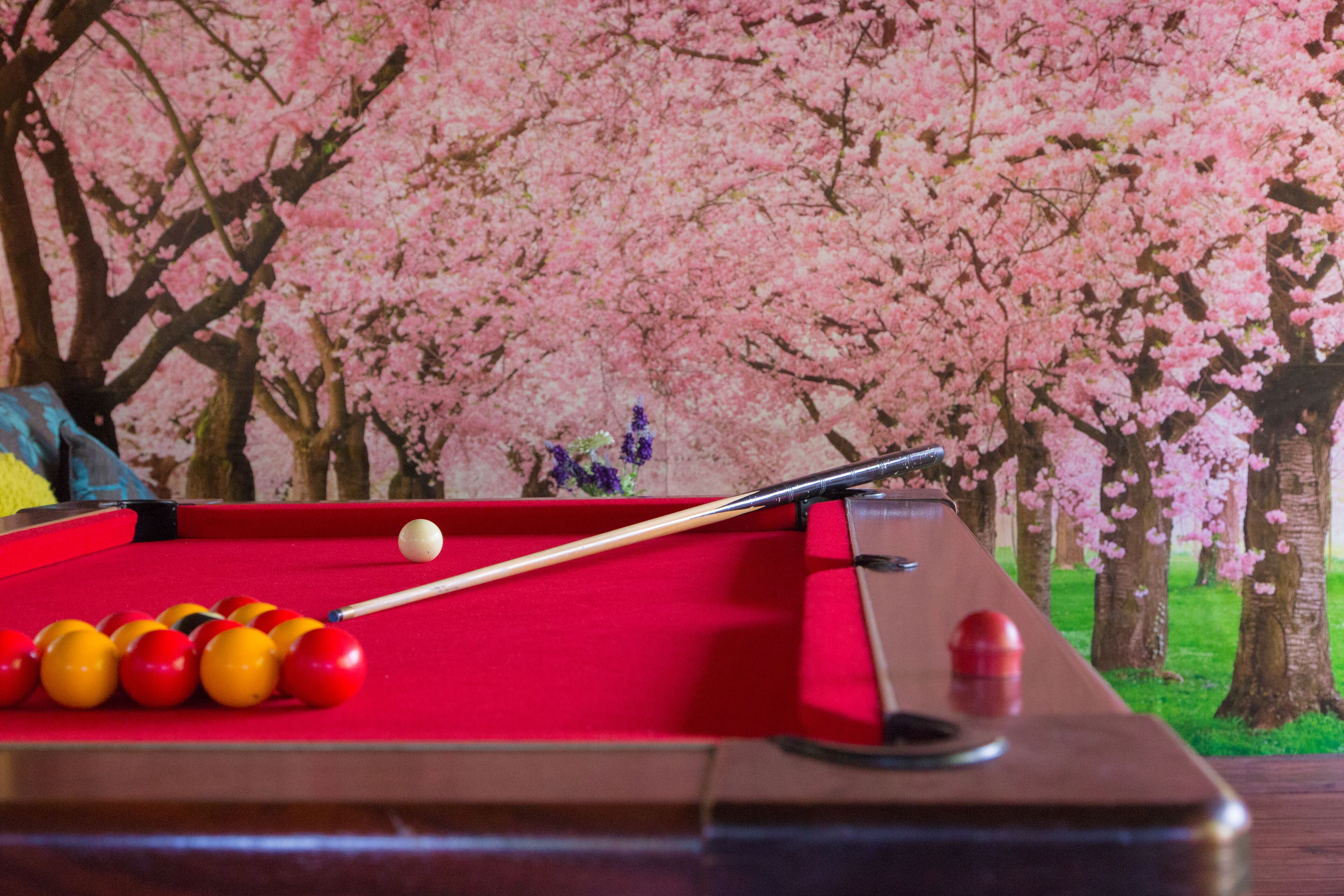 A pool table with balls and a cue stick, set against a backdrop of cherry blossom trees.