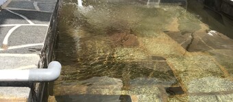 豐水館