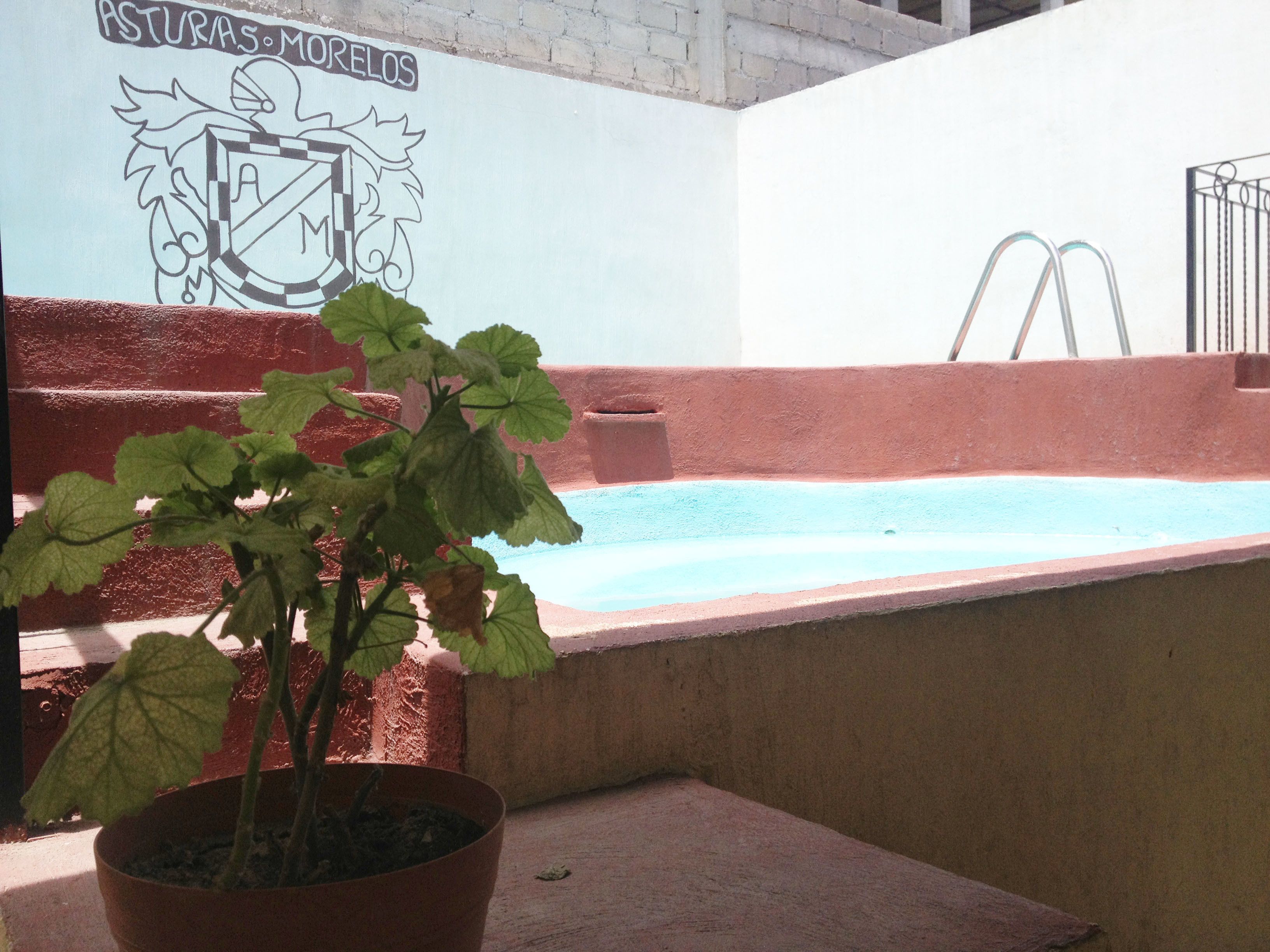 Hồ bơi ngoài trời 