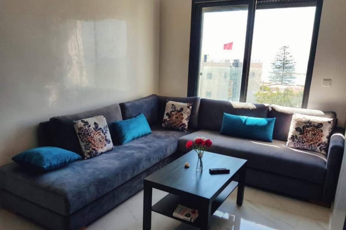 تلفزيون