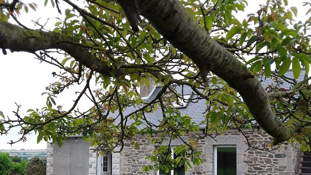 A stone house with a sloped roof, a small window, and a door. - Pretty Penty in the heart of Trégor (Pommerit-Jaudy)