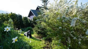 Family Apartment, Ensuite (Apartma) | Exterior