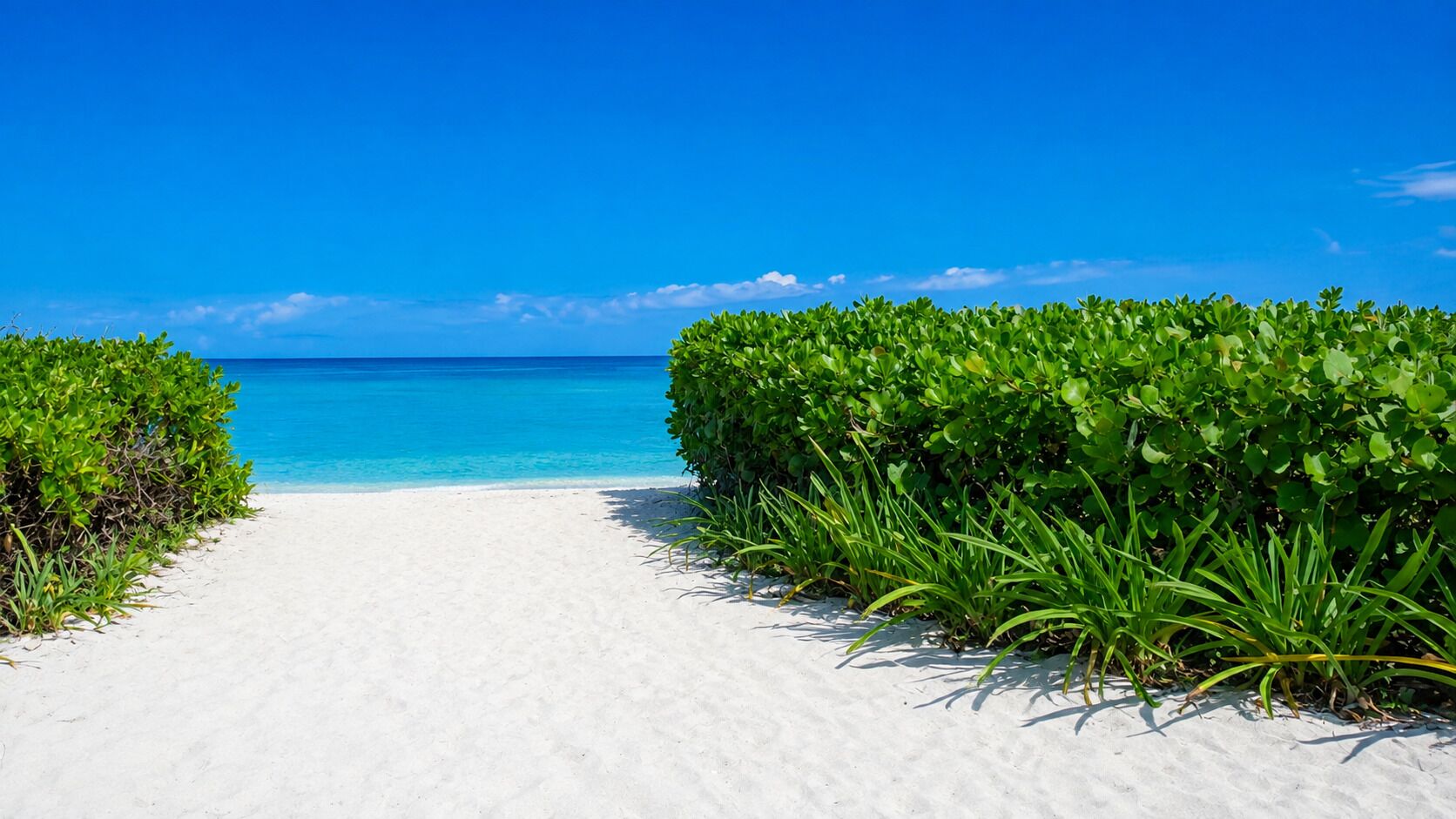 A pathway leading to a beach with clear blue water and a bright sky.