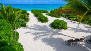 Uma trilha que leva a uma área de praia com areia branca, cercada por vegetação exuberante e palmeiras, e uma fileira de cadeiras de praia.