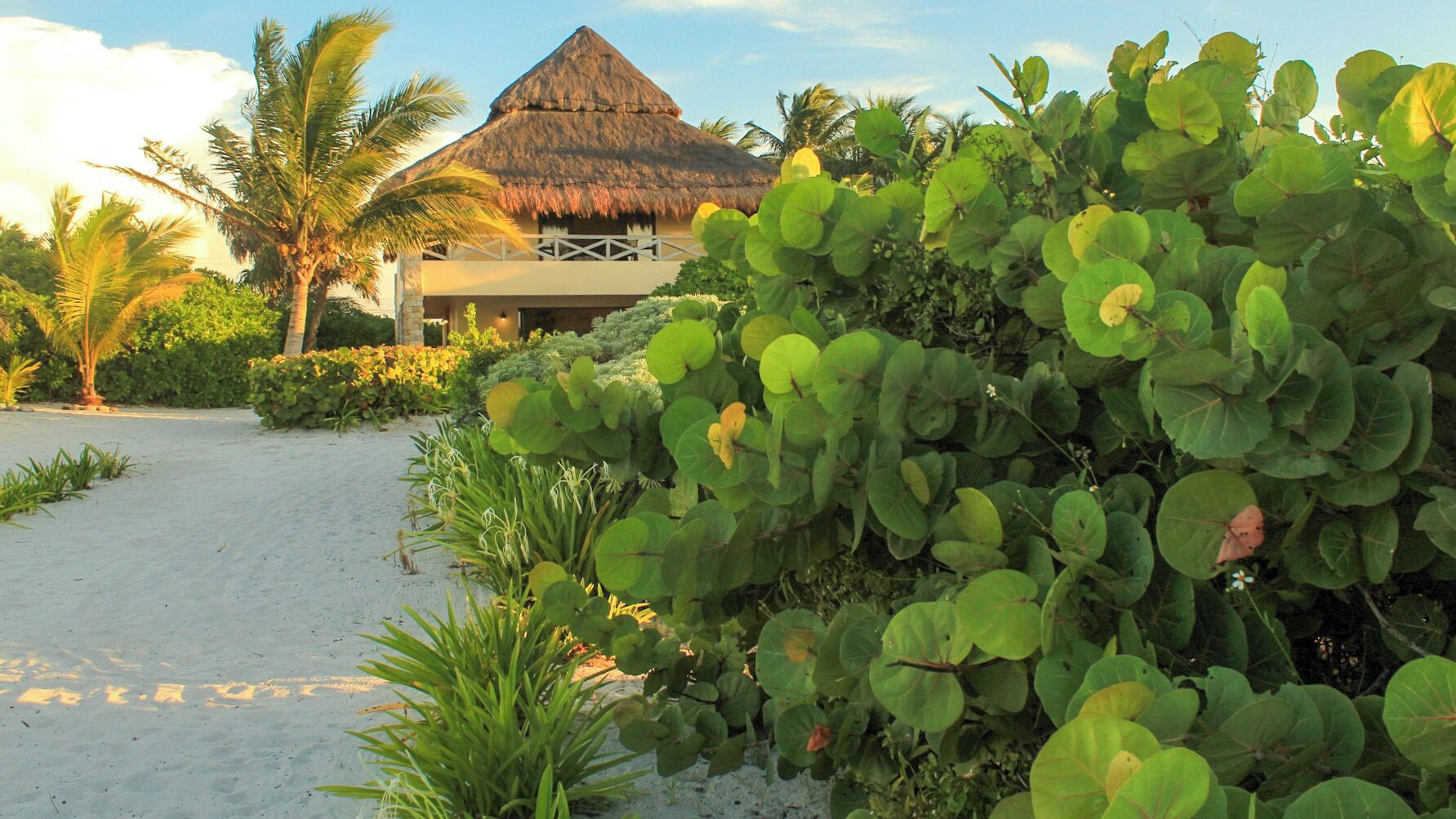 Vista frontal de la propiedad