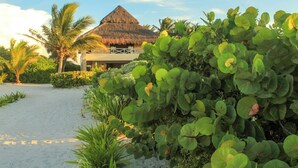 Un resort con un edificio de techo de paja, palmeras y un sendero de arena.