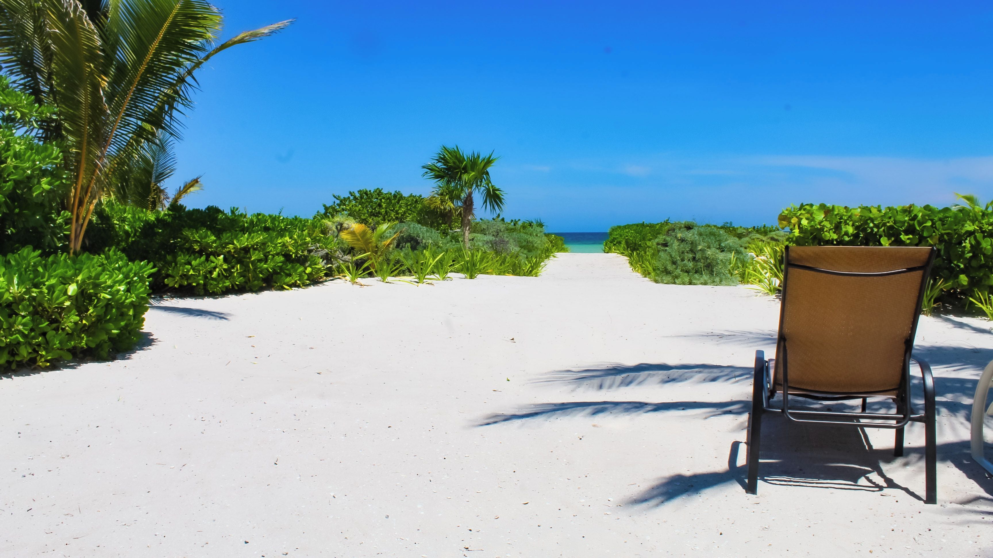 A beach pathway leading to the ocean, flanked by lush greenery and a single beach chair.