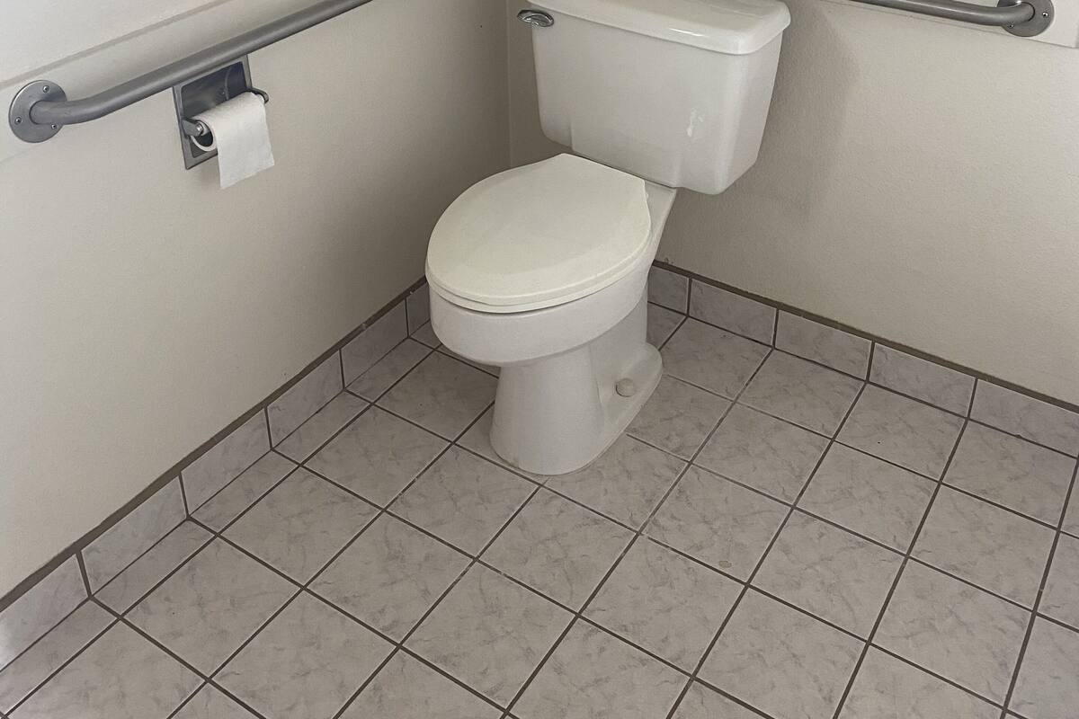 A standard white toilet with a safety bar on the left and right sides, and a roll of toilet paper mounted on the wall.