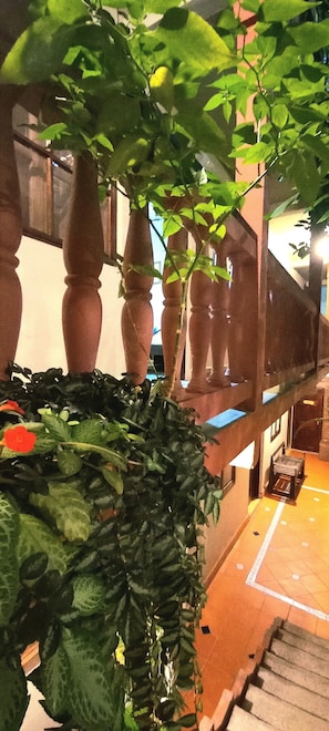 A balcony with a potted plant and a view of the building's interior. - Hotel Rosalila (Copan Ruinas)