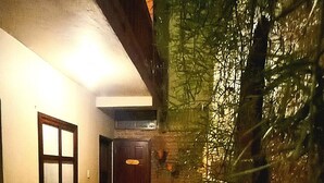 En gårdhave med en bænk, en dør og en mur dækket med slyngplanter.