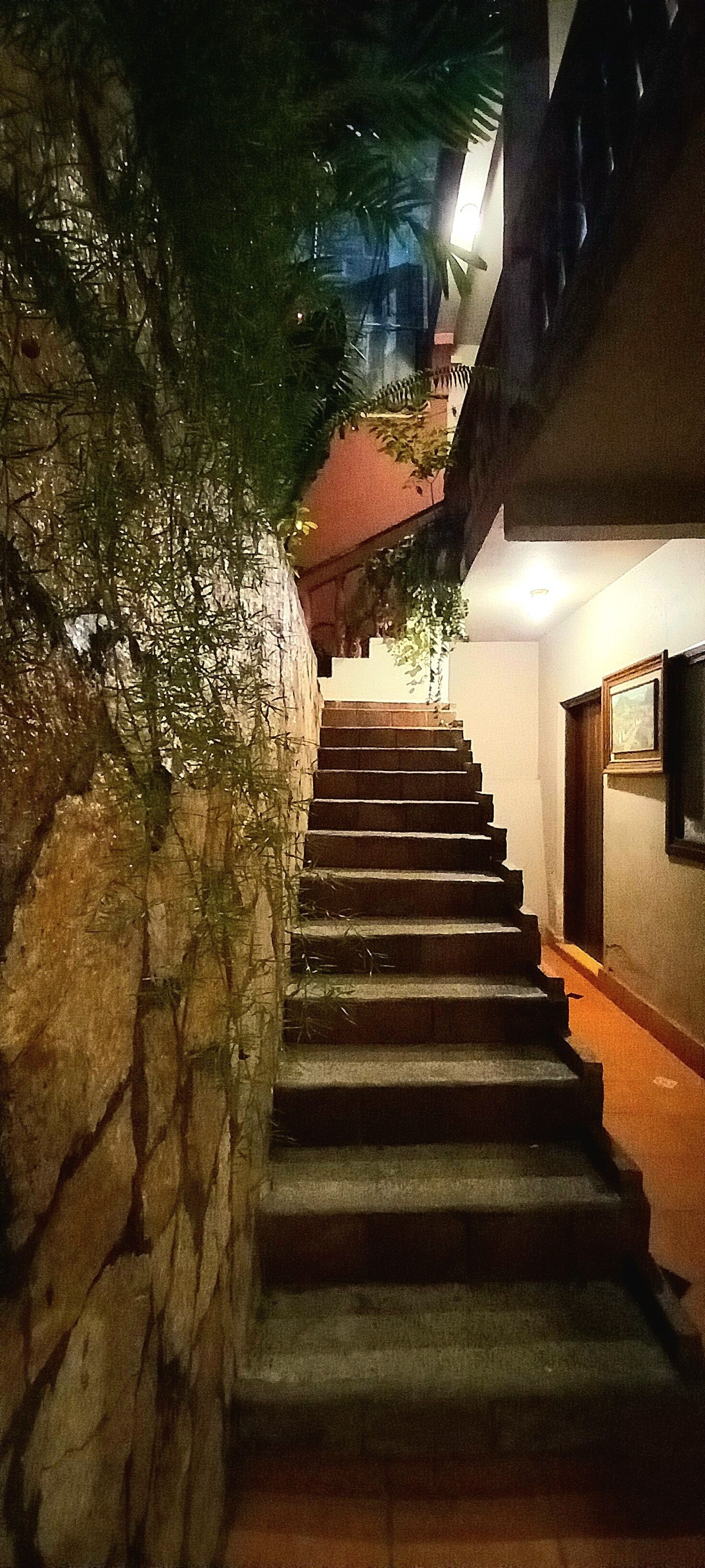 經濟雙床房, 庭園景觀 | 露台/庭院