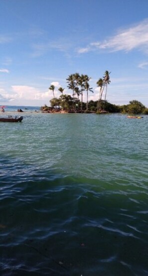 A tropical beach with palm trees and a small island. - Pousada Borboleta (Cairu)