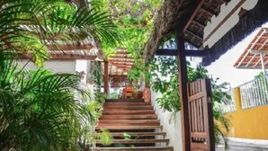 A staircase with wooden steps leading to a covered area, surrounded by lush green plants. - Pousada Borboleta (Cairu)