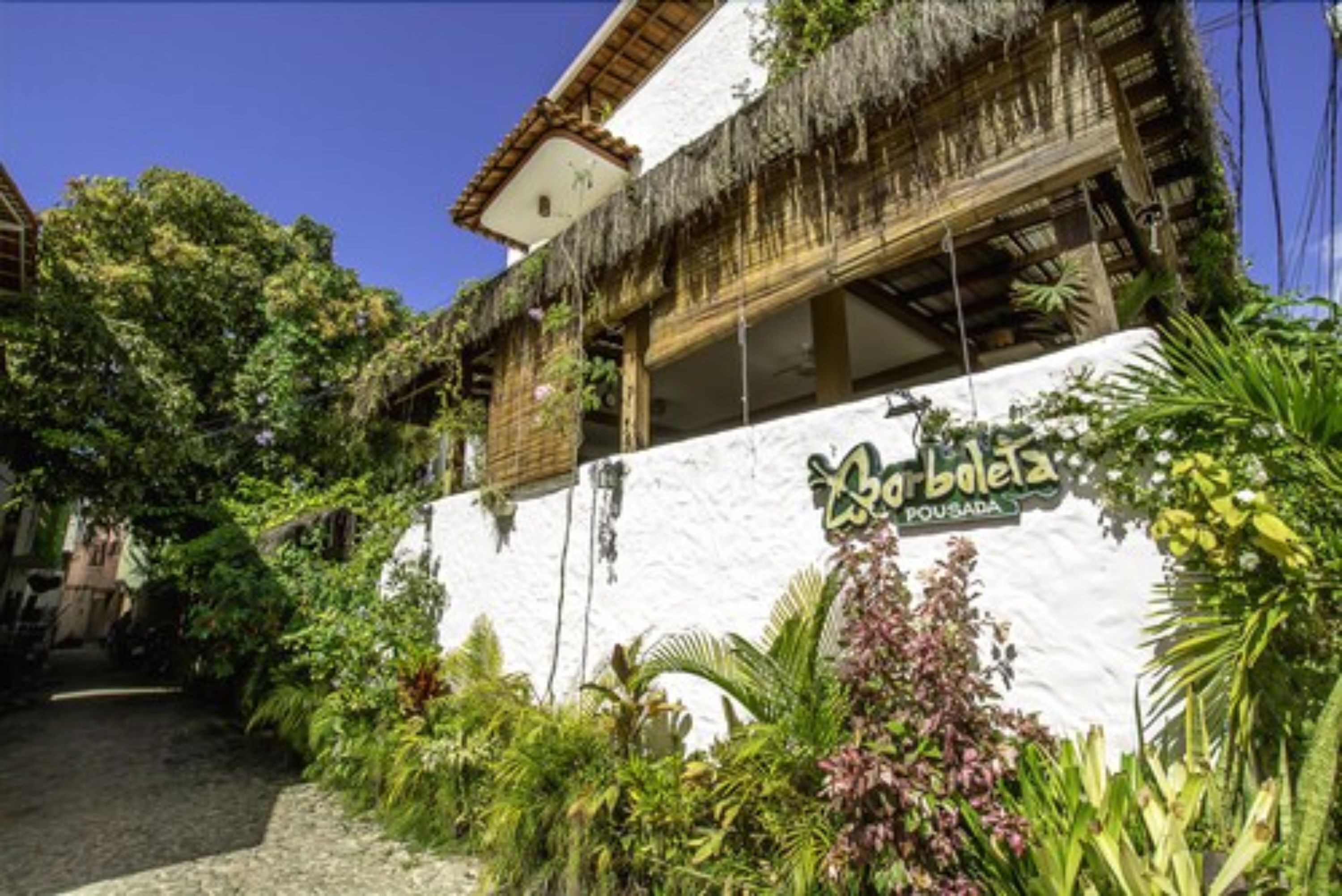 Foto - Pousada Borboleta