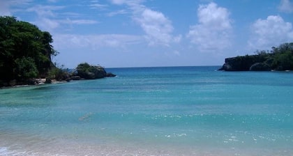 The Port Antonio Inn