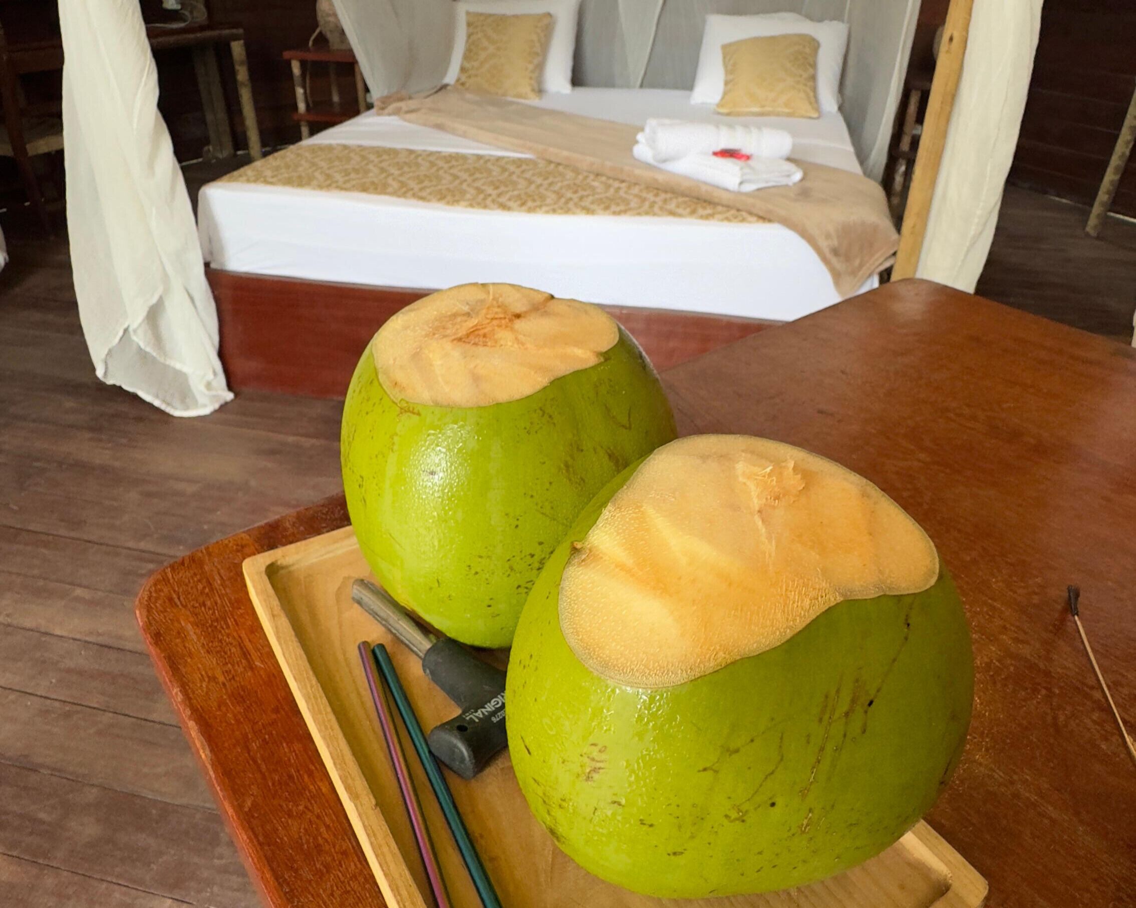 Un plateau en bois avec deux noix de coco vertes et une bouteille d’alcool, posés sur une table en bois dans une chambre d’hôtel.