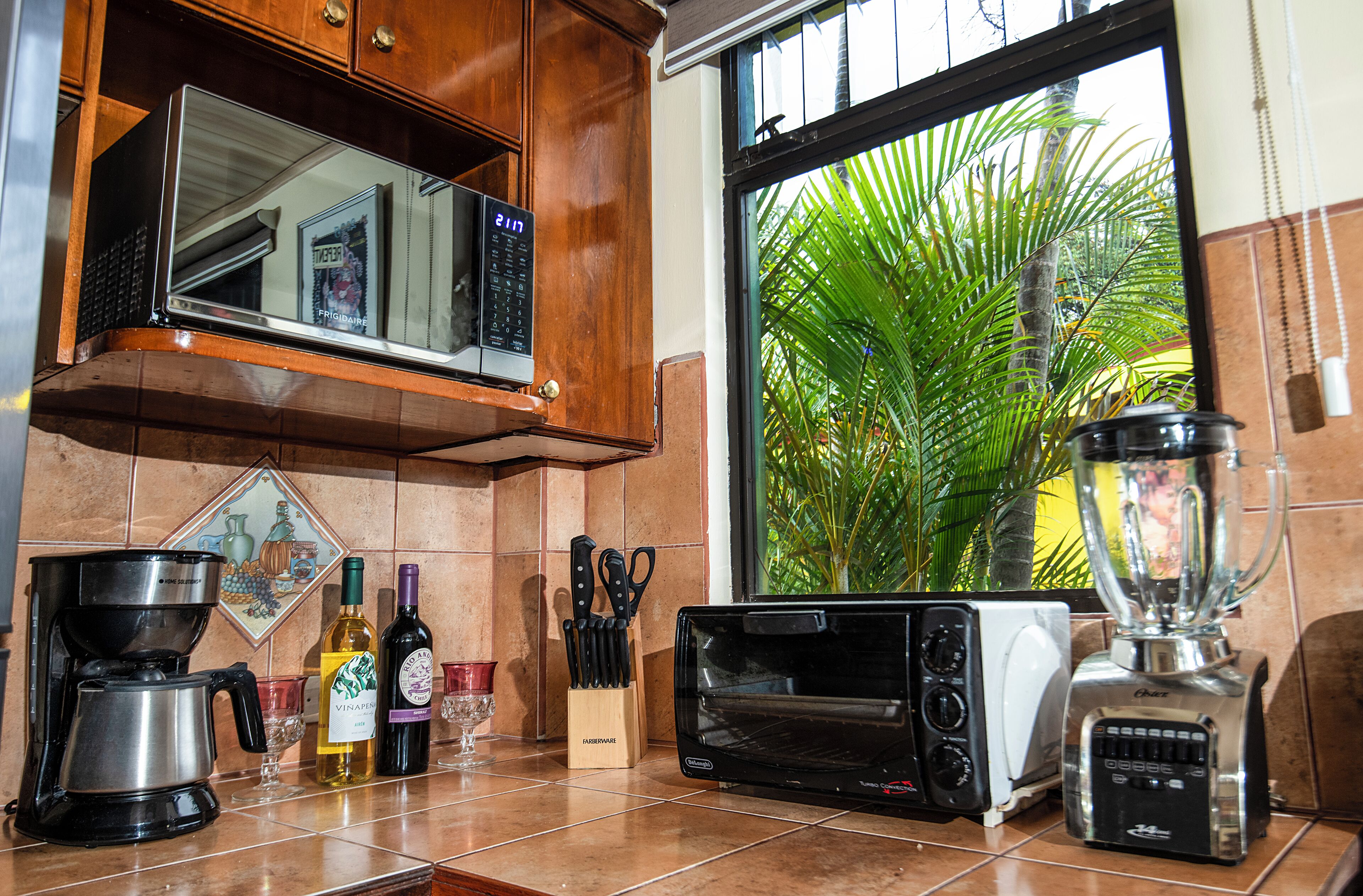 A kitchen with a coffee maker, toaster, blender, and a window with a view of palm trees.
