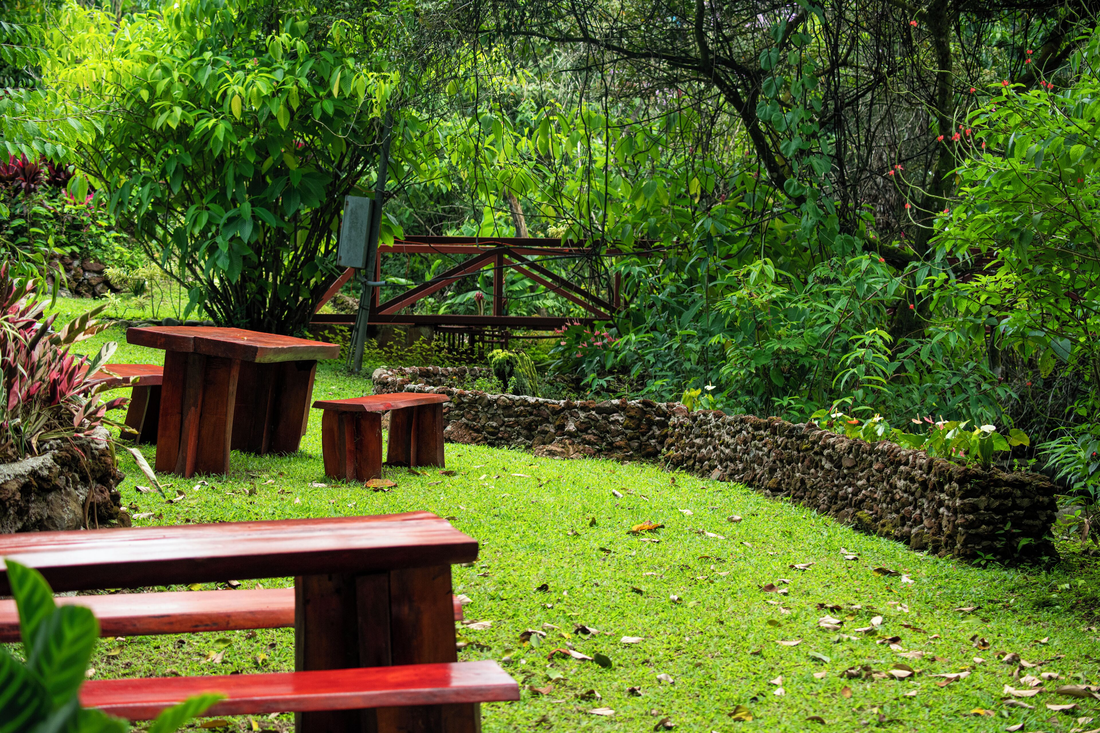 Un área de picnic con bancos y mesas de madera, rodeada de abundante vegetación y un muro de piedra.