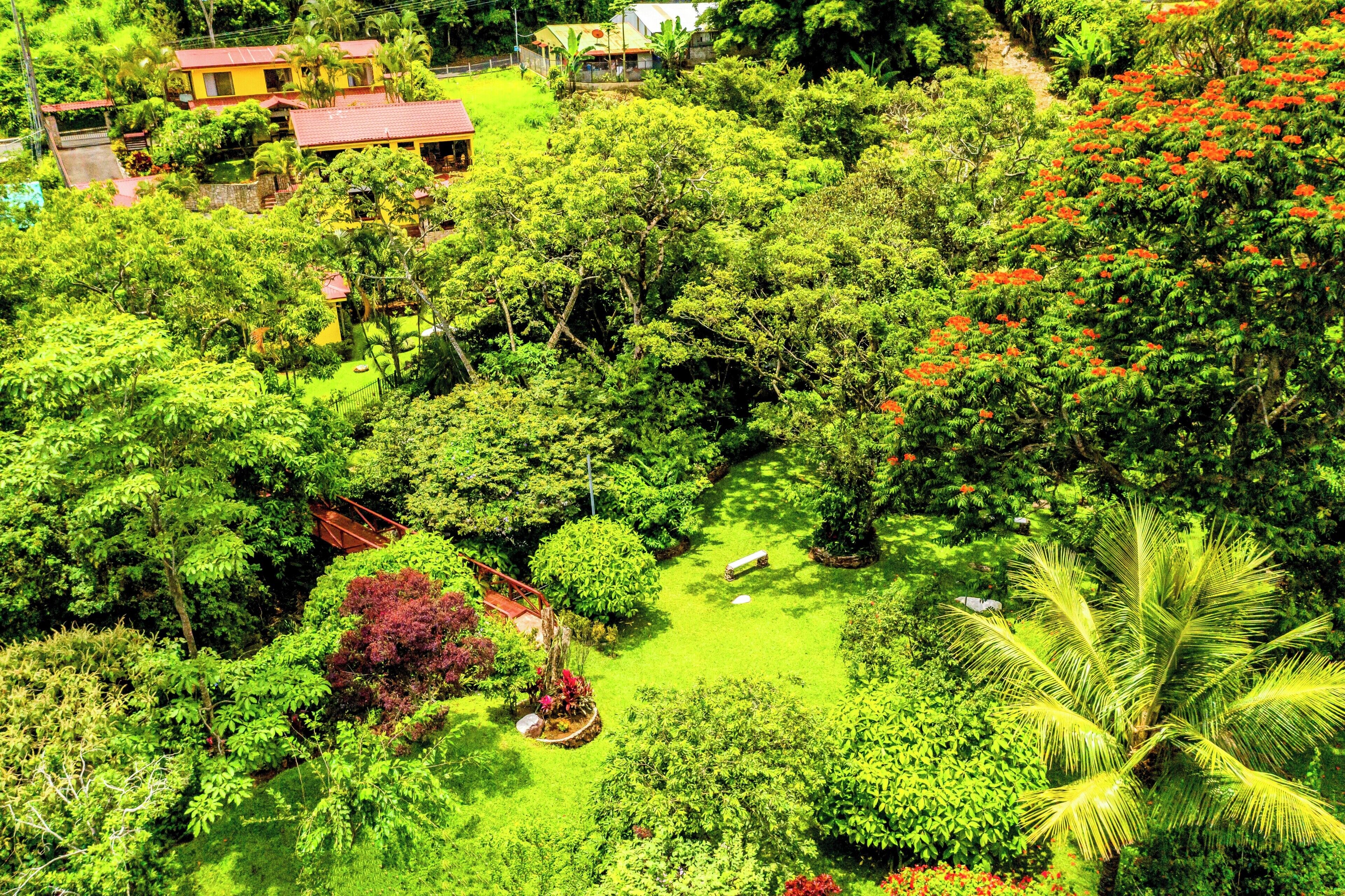 Un jardin luxuriant, avec une variété d’arbres et d’arbustes, un petit sentier et quelques bâtiments en arrière-plan.