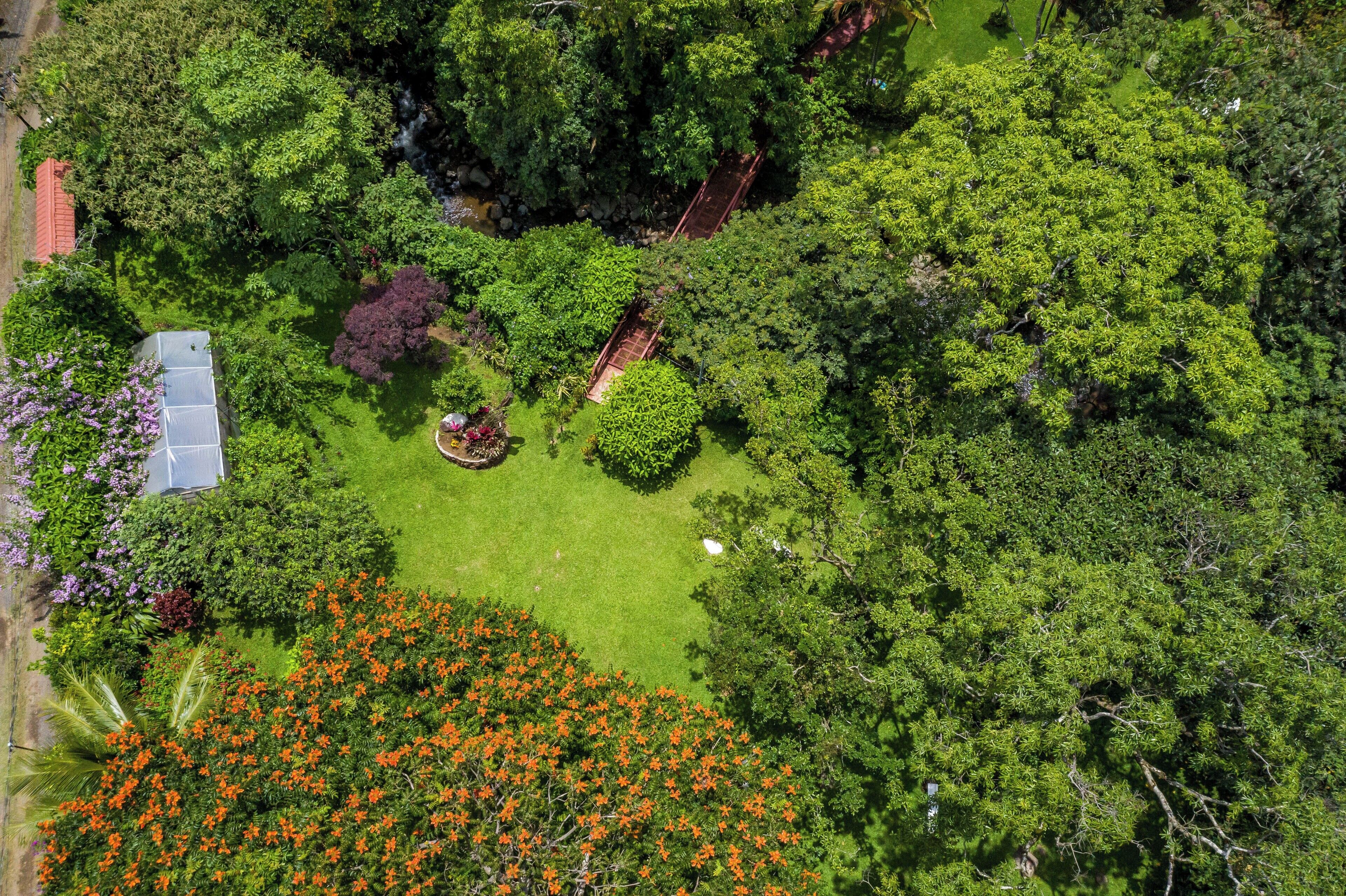 An aerial view of a lush garden with various trees, a small pond, and a pathway.