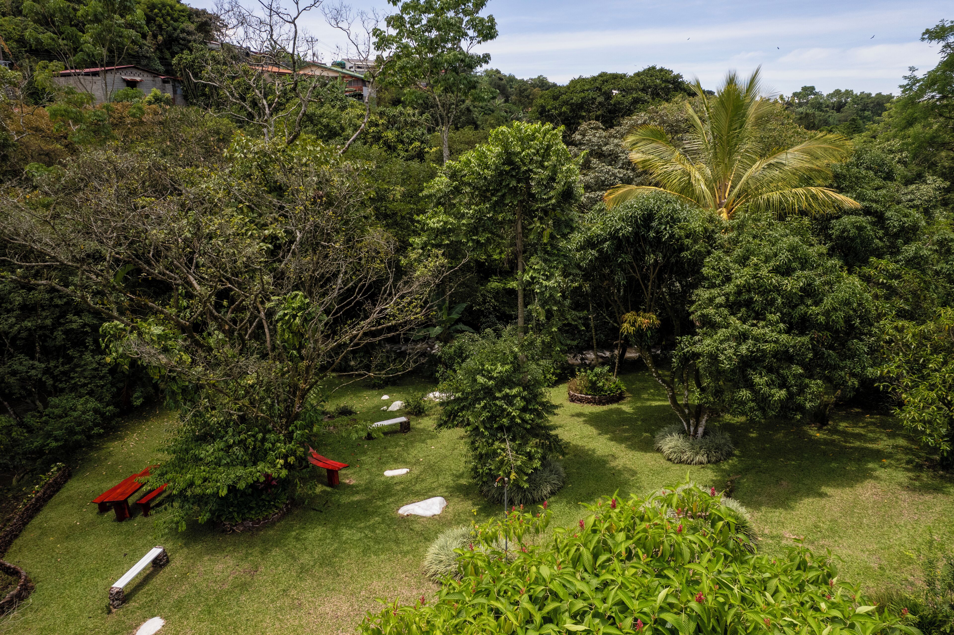 A lush garden with various trees and shrubs, a red bench, and a pathway.