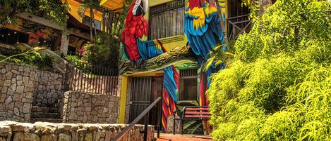 A staircase leading to a building with vibrant murals of parrots and a tropical theme.