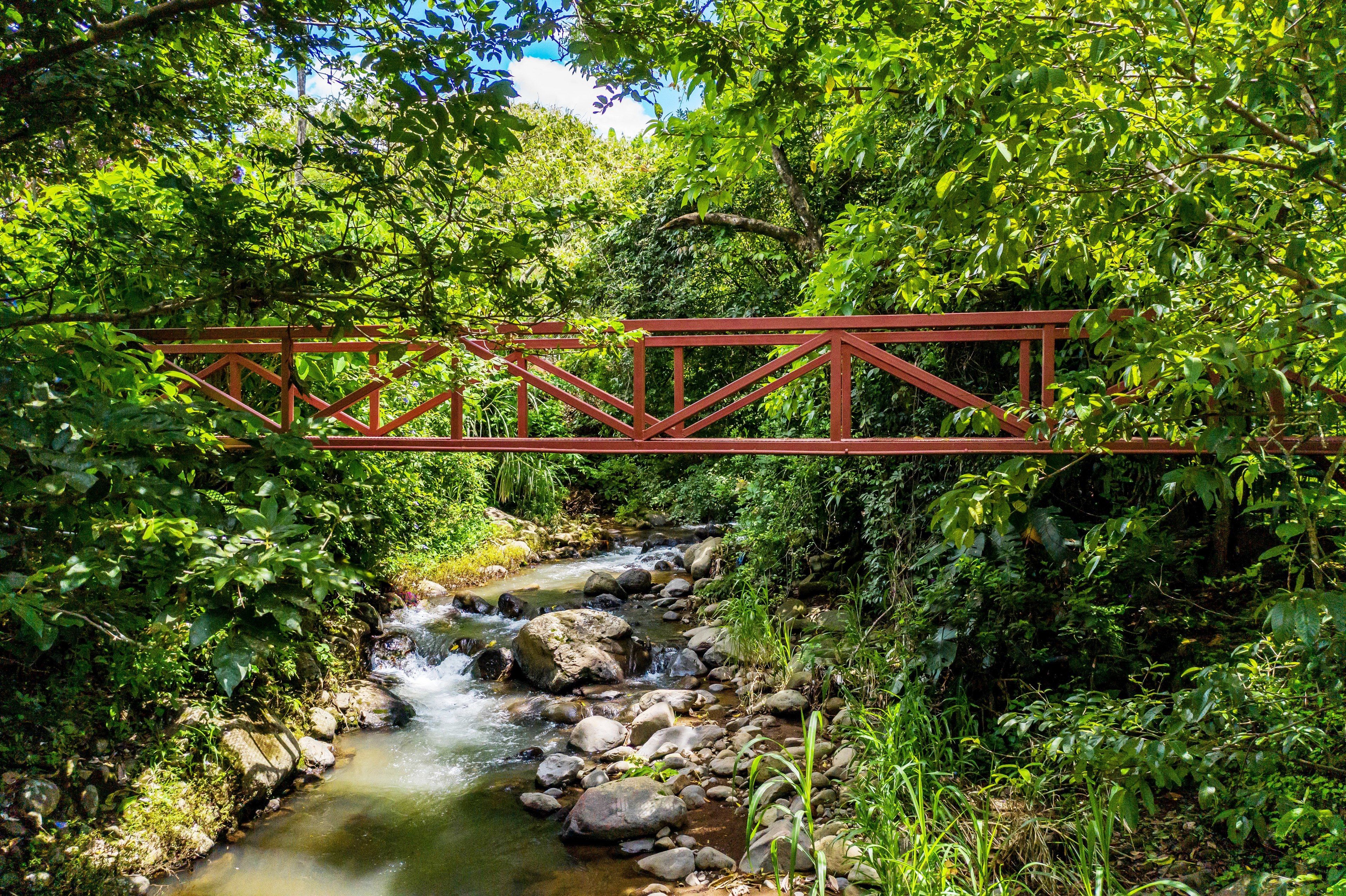 A red metal bridge over a rocky stream in a lush green forest.