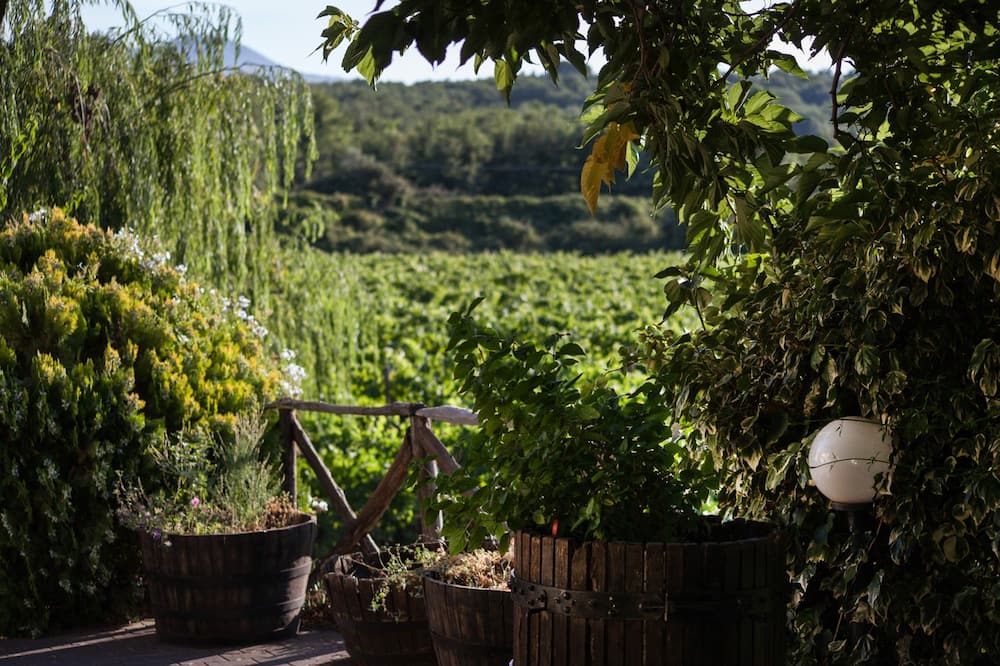 L'Antica Vigna