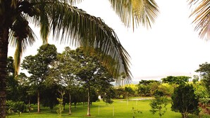 Garden - Hotel del Campo (Quimbaya)