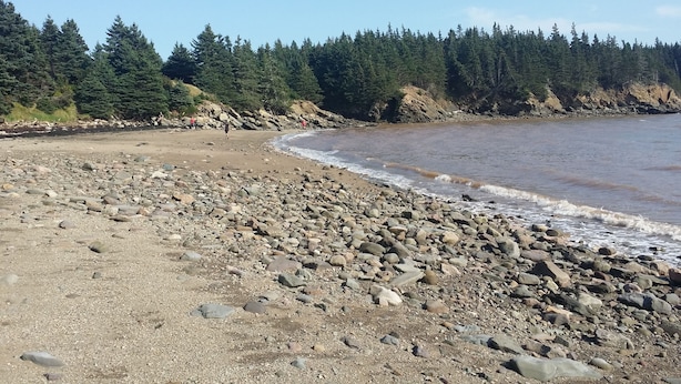 A rocky beach with a forested background. - Maplehurst Manor B&B (Dorchester)