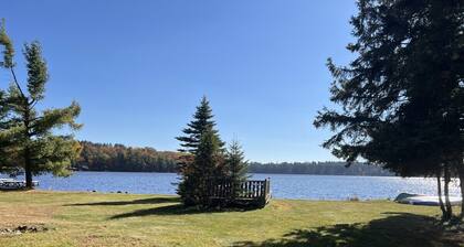 Pöllöt pesivät Rangeline-järvellä