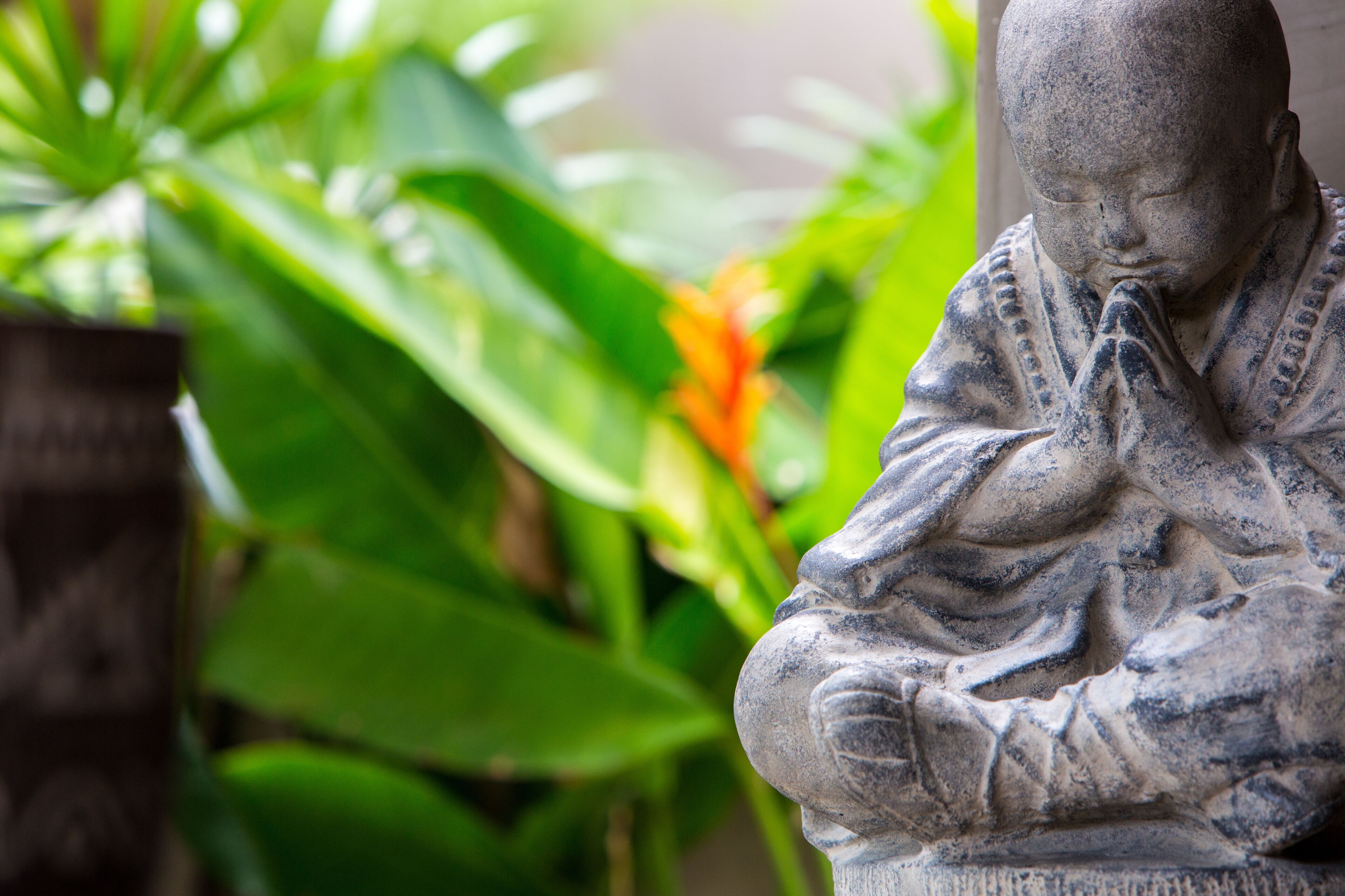A stone statue of a seated figure with hands in a prayer position, surrounded by greenery.