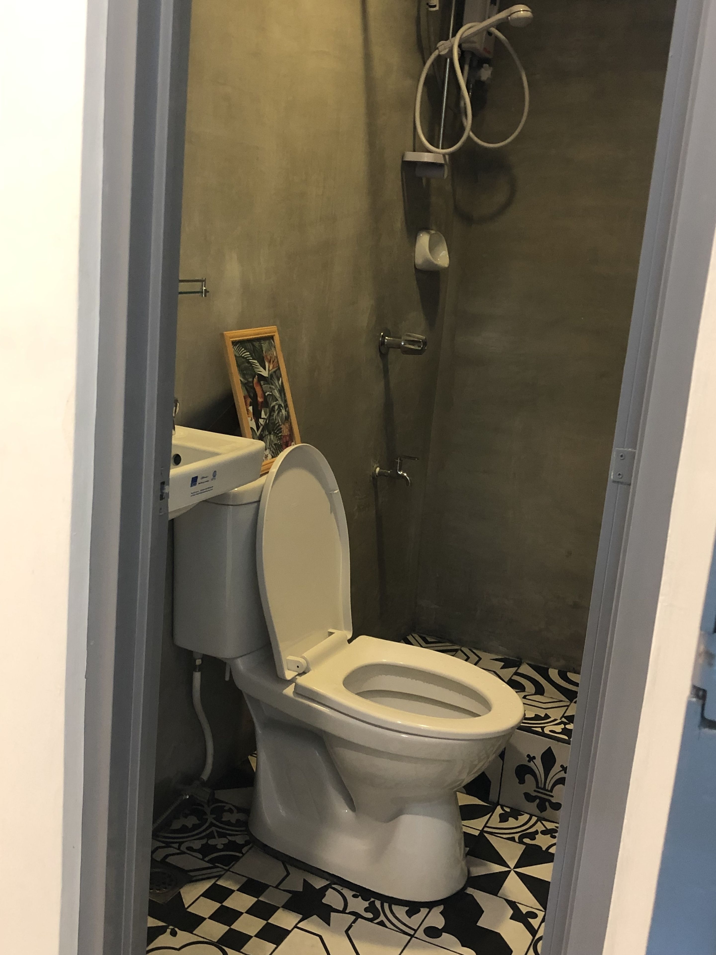 Une petite salle de bain étroite, avec des toilettes, une douche et un tableau encadré au mur.