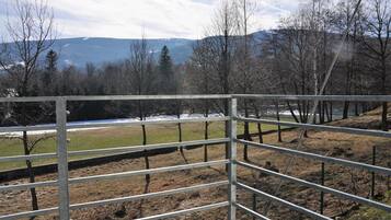 A fenced outdoor area with a view of mountains and trees.