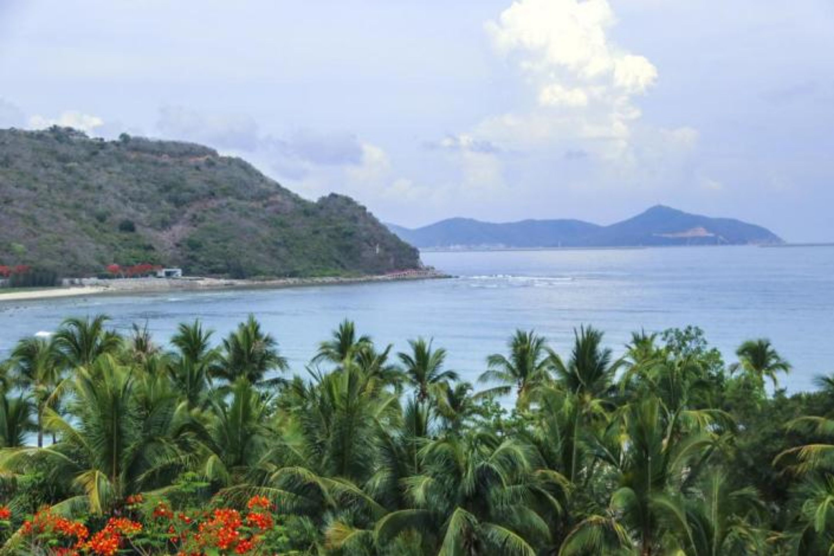 Paisaje costero con palmeras y una playa.