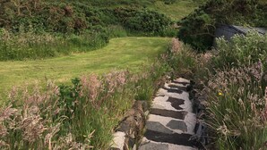 A rural landscape with a stone pathway leading through a grassy area with wildflowers, surrounded by dense vegetation and a distant view of rolling hills.