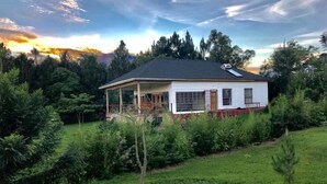 Una casa de un solo piso con porche cubierto, rodeada de exuberante vegetación y árboles.