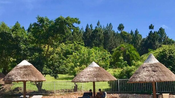 Zona de piscina con sombrillas de paja, sillas de descanso y una vista despejada de un paisaje verde exuberante.