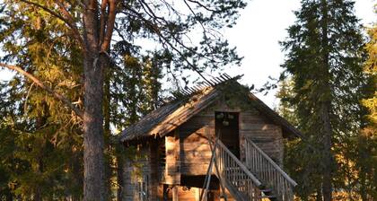 Wilderness Hotel Papin Talo