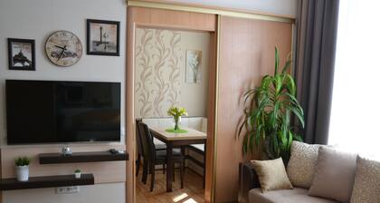 Mini-hotel EURO