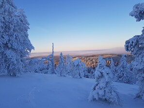 A snowy landscape with dense trees and a clear sky. - Zone Apartments (Kuusamo)
