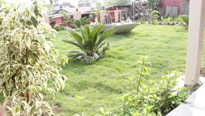 A well-maintained garden with a variety of plants and a concrete structure in the background. - Hotel Brothers Inn (Pokhara)