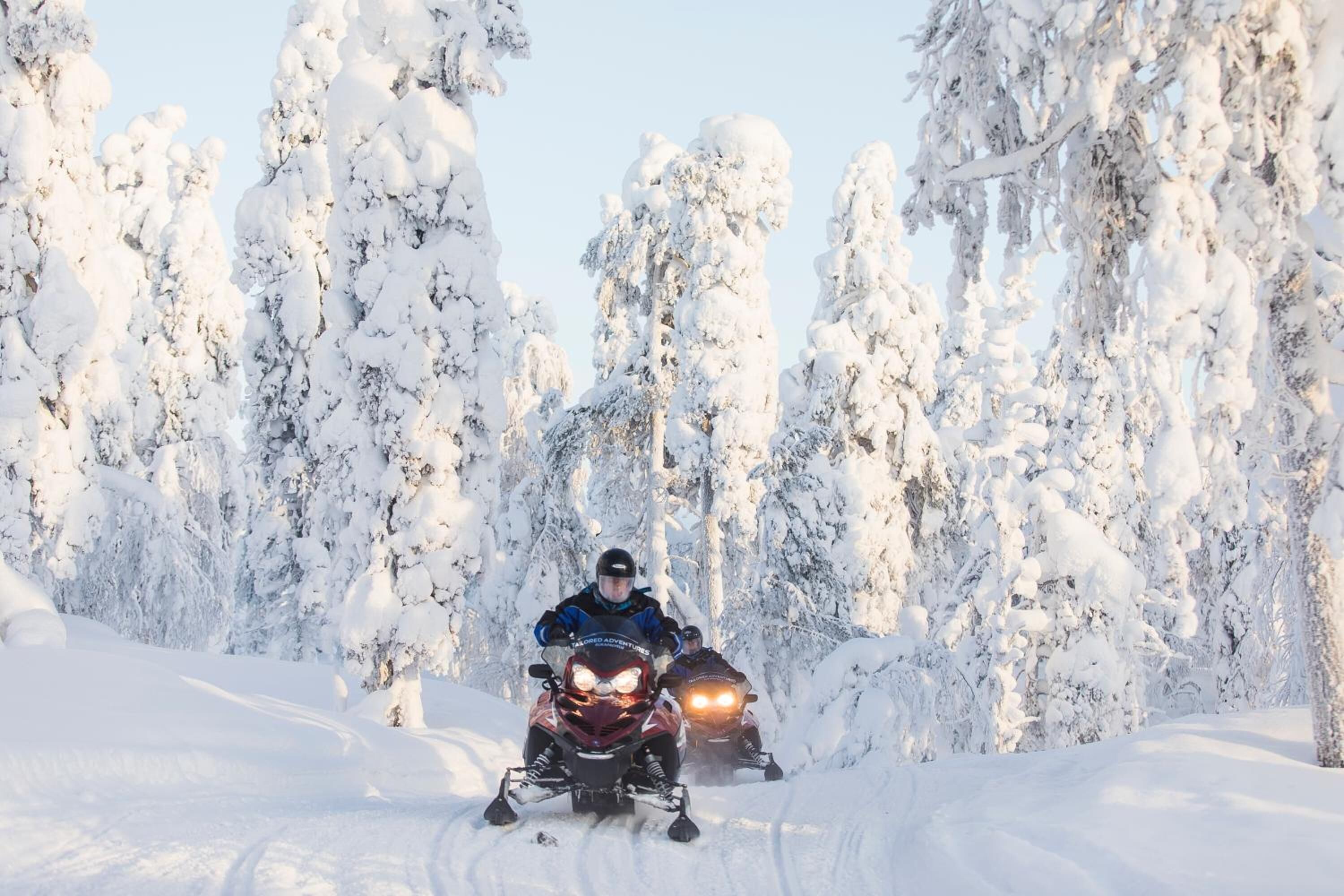 Two snowmobiles on a snowy path with snow-covered trees.
