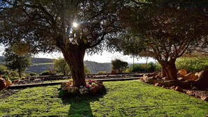 Garden - Mull Harim Yam Vegan Galilee hospitality - Adults Only (Ma'ale Yosef)